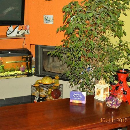 קרקוב Honey Hostel מראה חיצוני תמונה